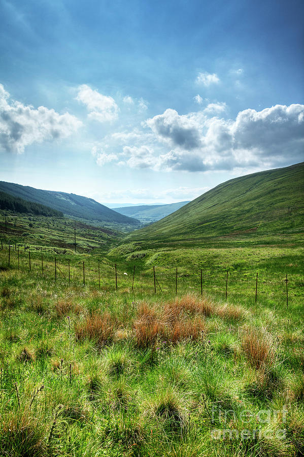 The string mountain glen, Isle of Arran. Photograph by Phill Thornton ...