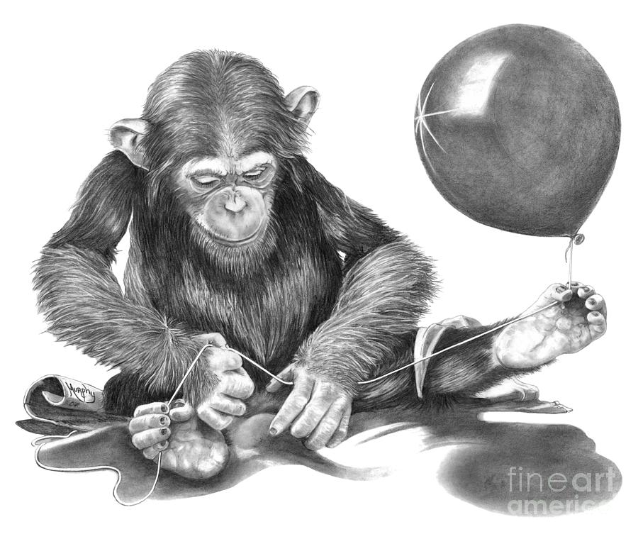 Monkey Drawing - The String Theory by Murphy Elliott