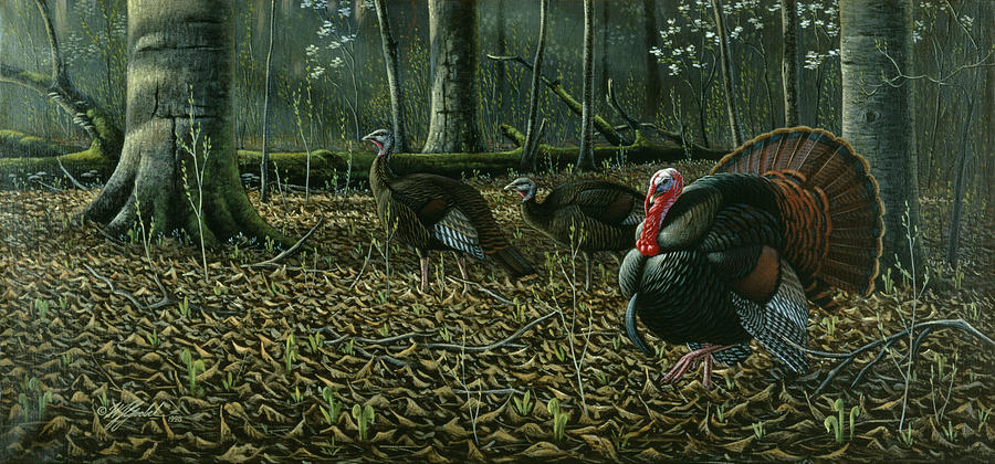 Animal Painting - The Suitor - Wild Turkeys by Wilhelm Goebel