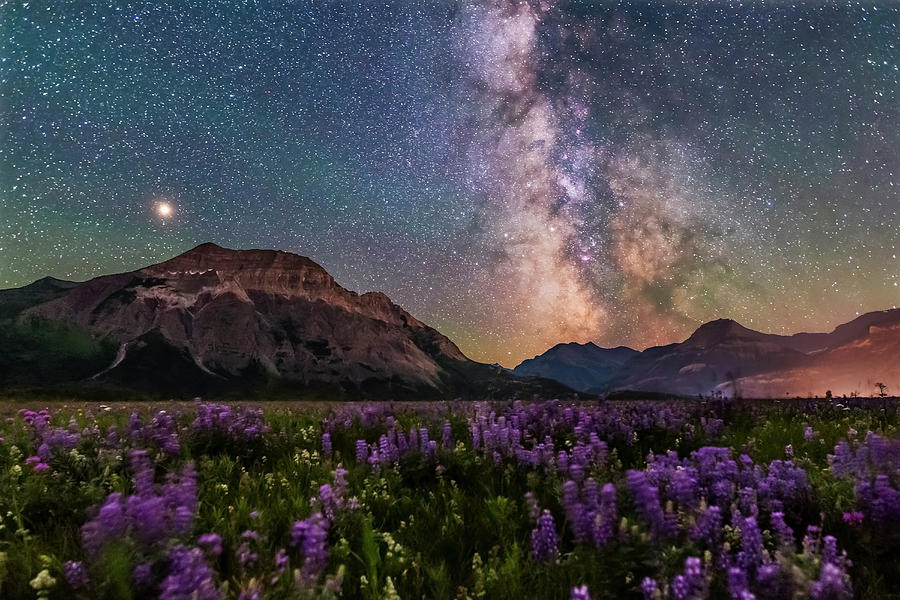 The Summer Milky Way And Mars Photograph by Alan Dyer