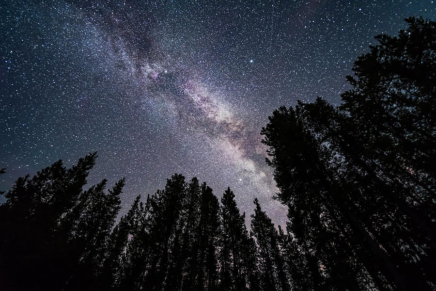 Altair Photograph - The Summer Milky Way Looking by Alan Dyer Altair Photograph - The Summer Milky Way Looking by Alan Dyer
