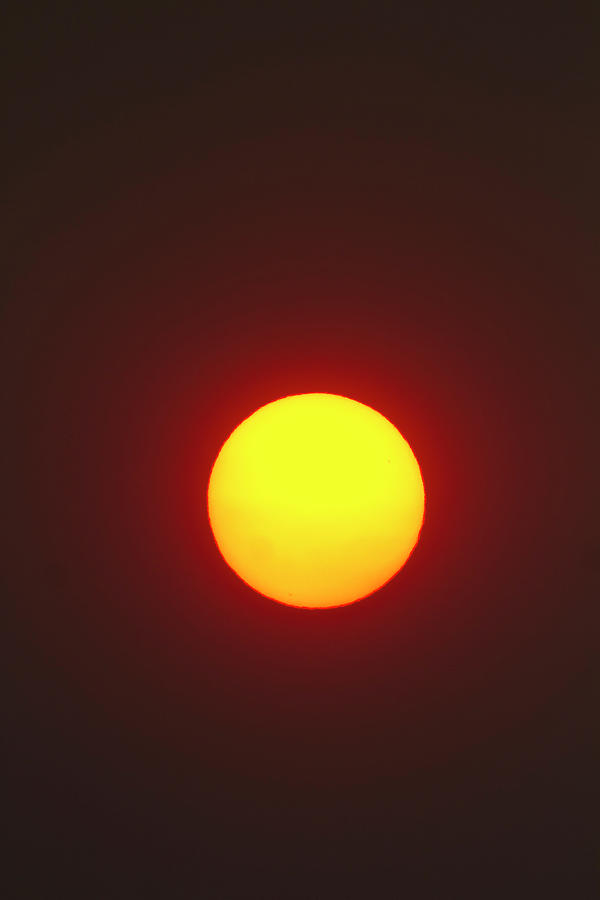 The Sun In Forest Fire Smoke Haze Photograph by Mark Miller Photos