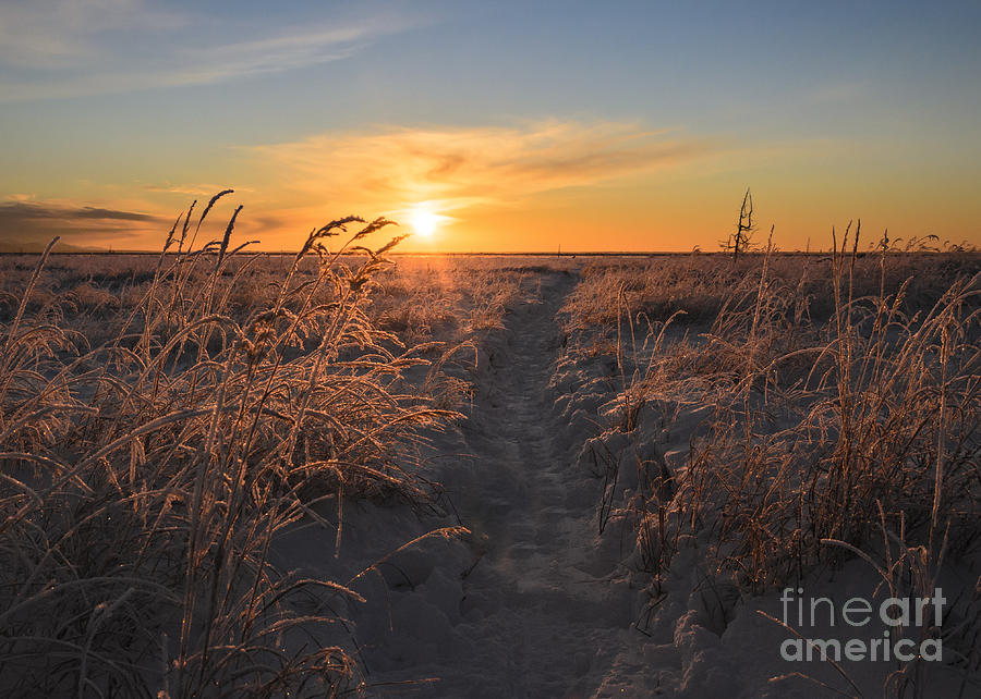 Sunrise Photograph - The Sun Sets In The Anchorage Coastal by Susan R. Serna Sunrise Photograph - The Sun Sets In The Anchorage Coastal by Susan R. Serna