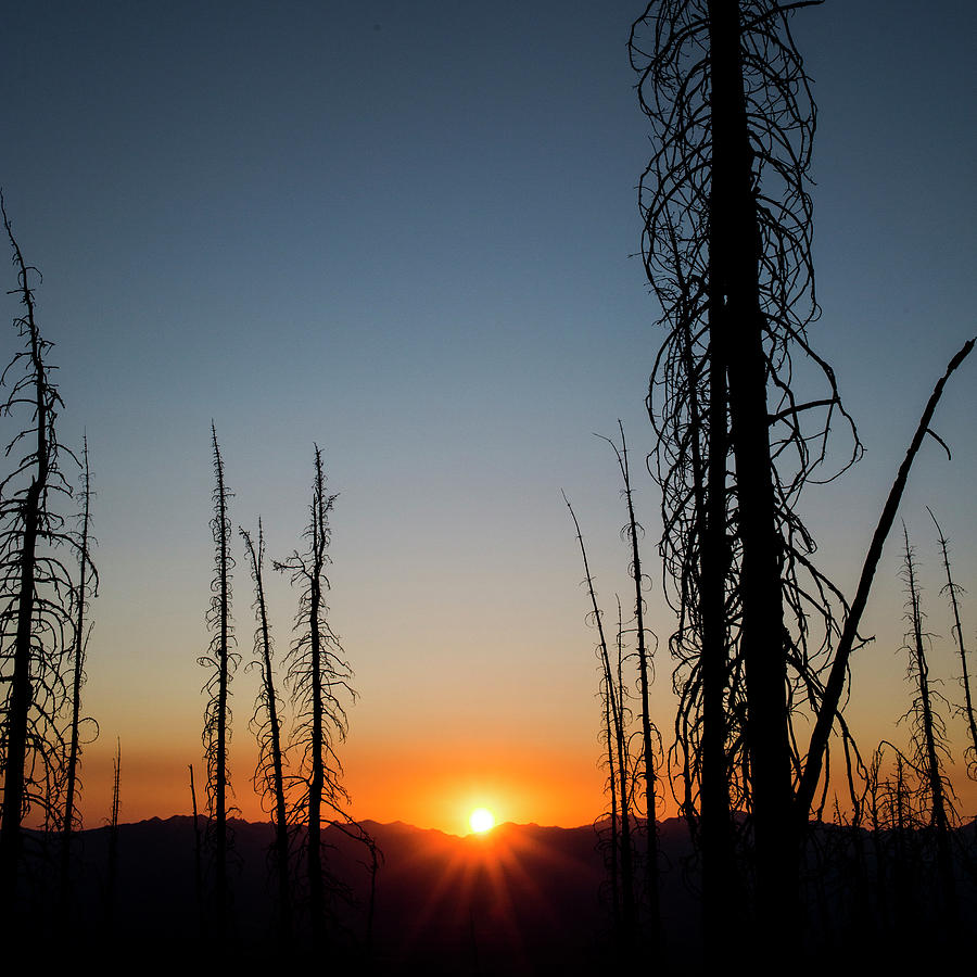 Sunset Photograph - The Sun Sets Over The Bitterroot Mountain Range In Western Montana. by Cavan Images