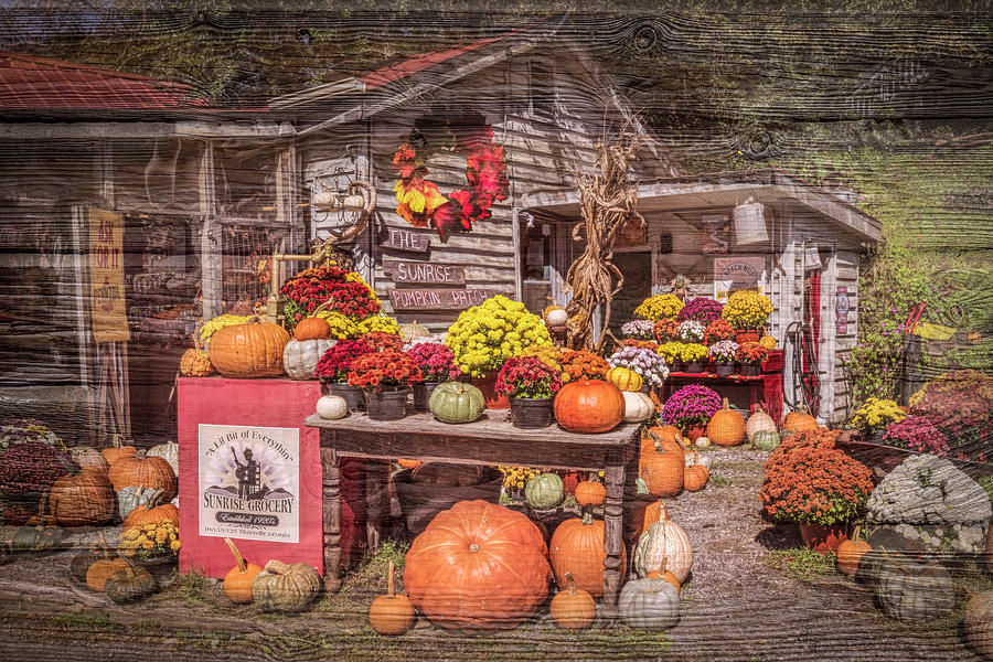 The Sunrise Country Pumpkin Patch Photograph by Debra and Dave Vanderlaan