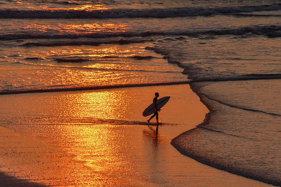 The Sunset Surfer Photograph by Guy Wilson