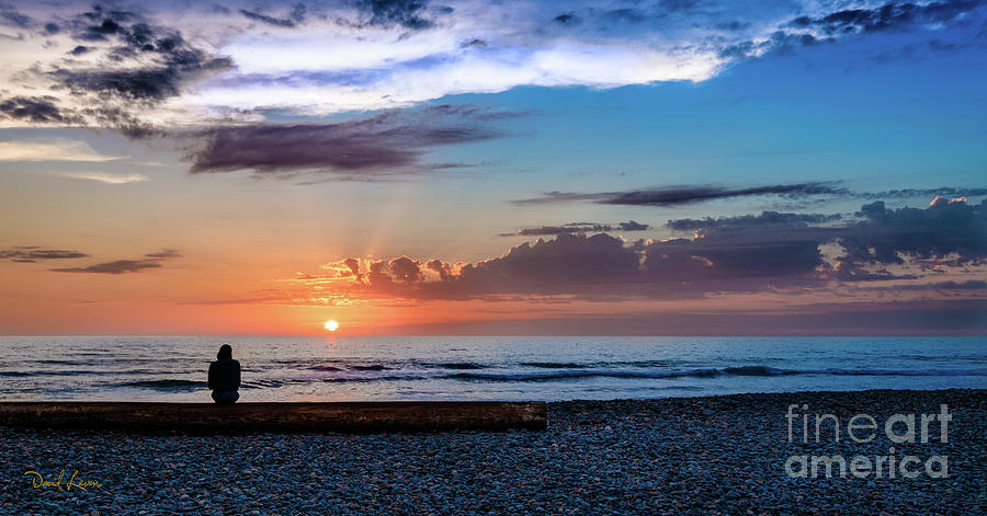 The Sunset Watcher Photograph by David Levin