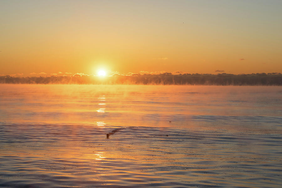 The Surfing Duck - Smoke on the Water Sunrise Photograph by Georgia Mizuleva