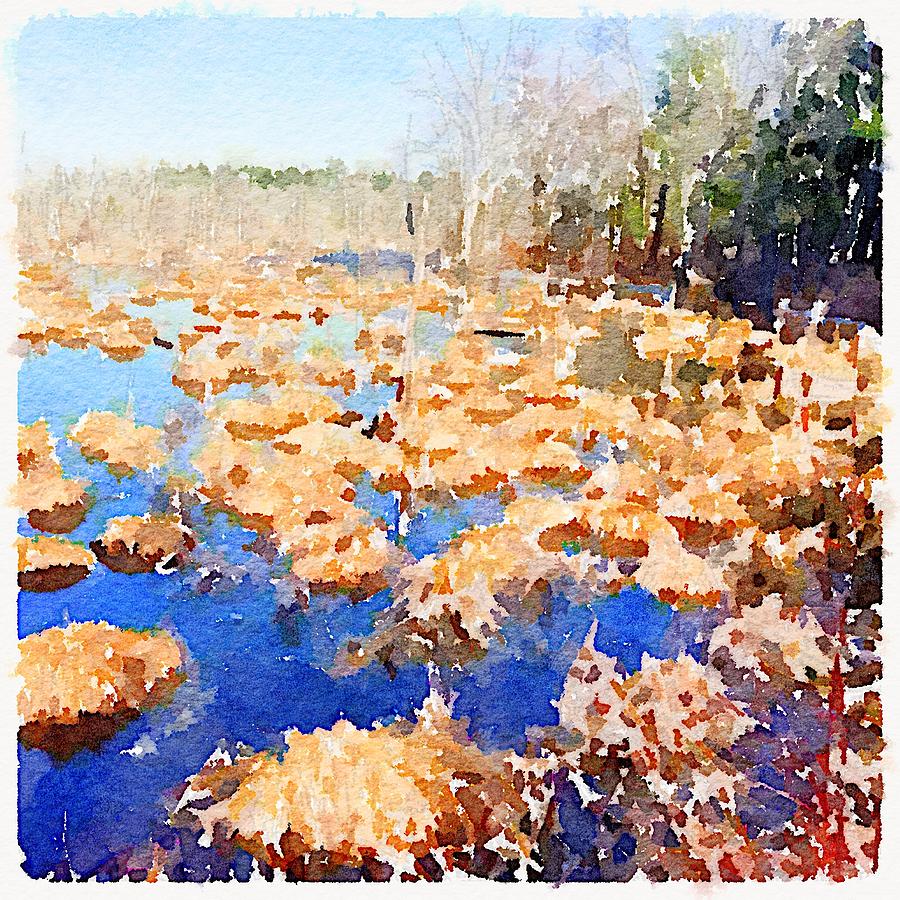 The swamp in January  Digital Art by Steve Glines