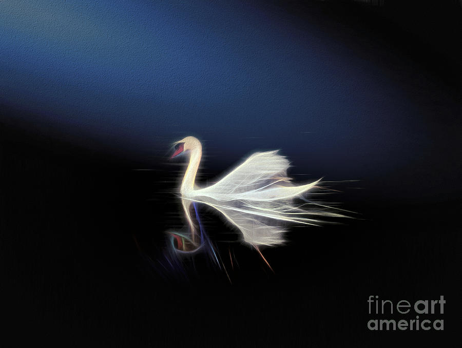The Swan by Leigh Kemp The Swan by Leigh Kemp