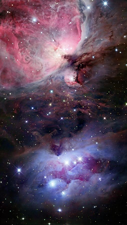 The Sword Of Orion Photograph by Stocktrek Images