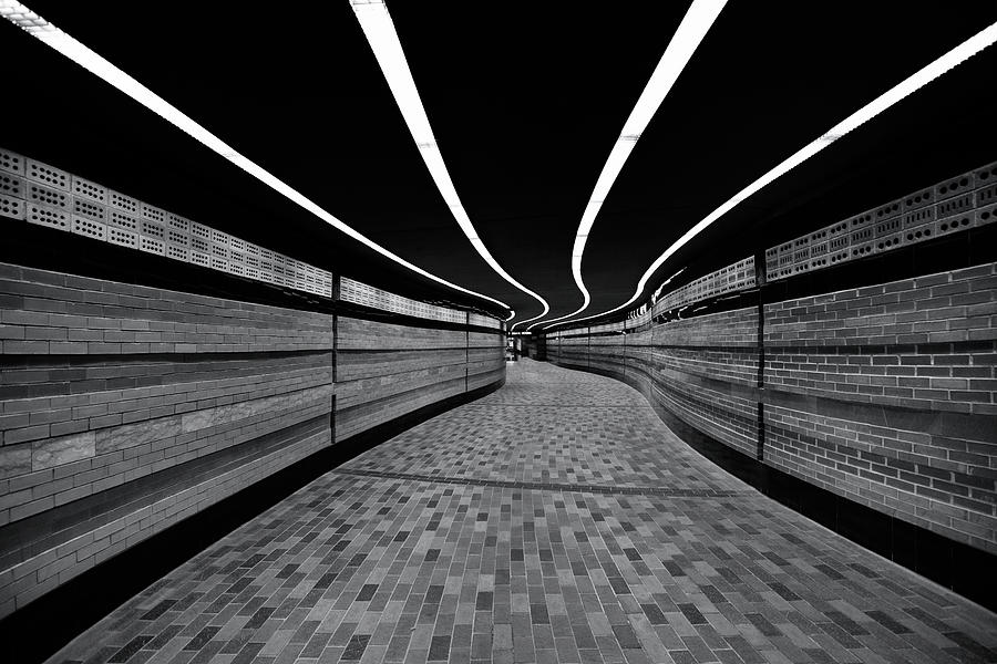 The Symphony Of Lines Photograph by Roland Shainidze Photogaphy