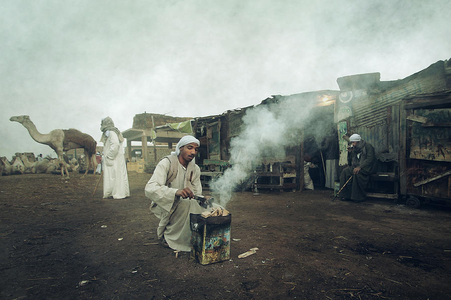 The Tale Of Camel Market Photograph by Mohamed Fawzy Kutp