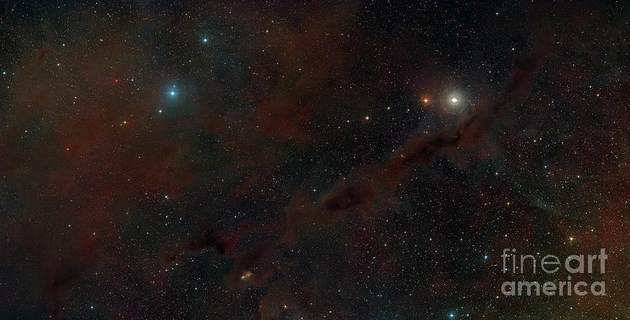 The Taurus Molecular Cloud Photograph by Davide De Martin/science Photo Library