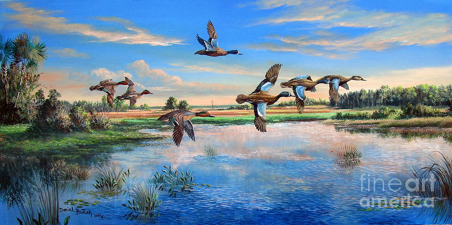 Bird Painting - the Teal are Here- Blue-Winged and Green-Winged Teal by Daniel Butler