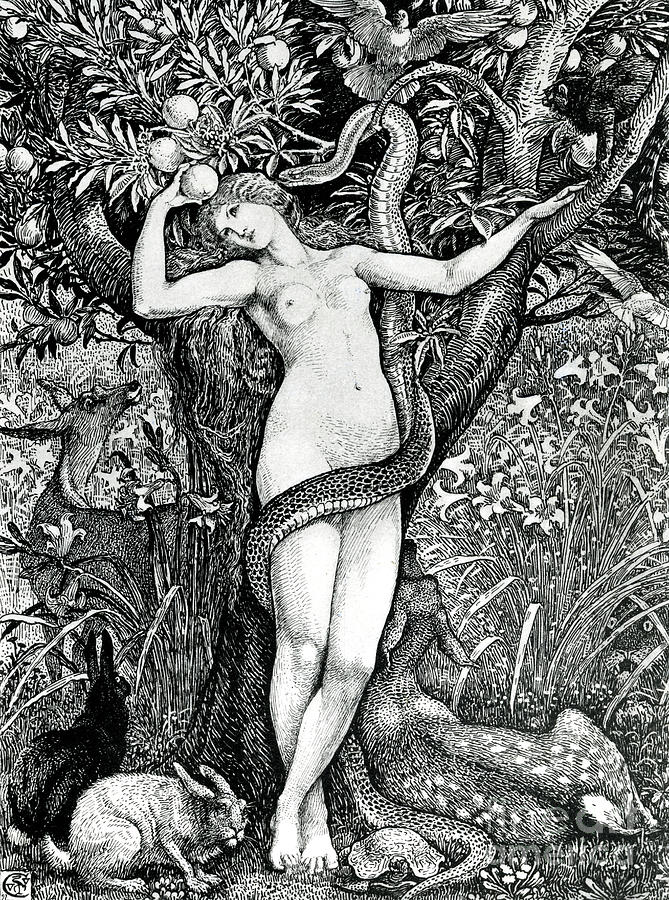 The Tempation of Eve Drawing by Walter Crane