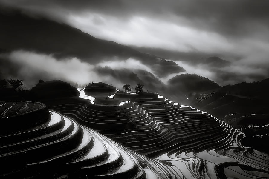 Black And White Photograph - The Terraced Fields. by Fabrizio Massetti