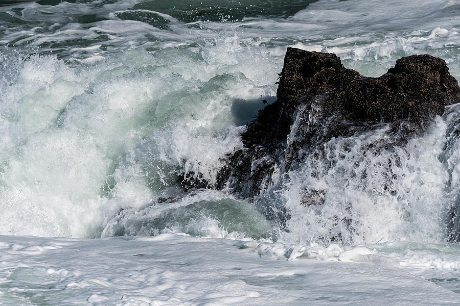 The Texture of Water by Robert Potts The Texture of Water by Robert Potts