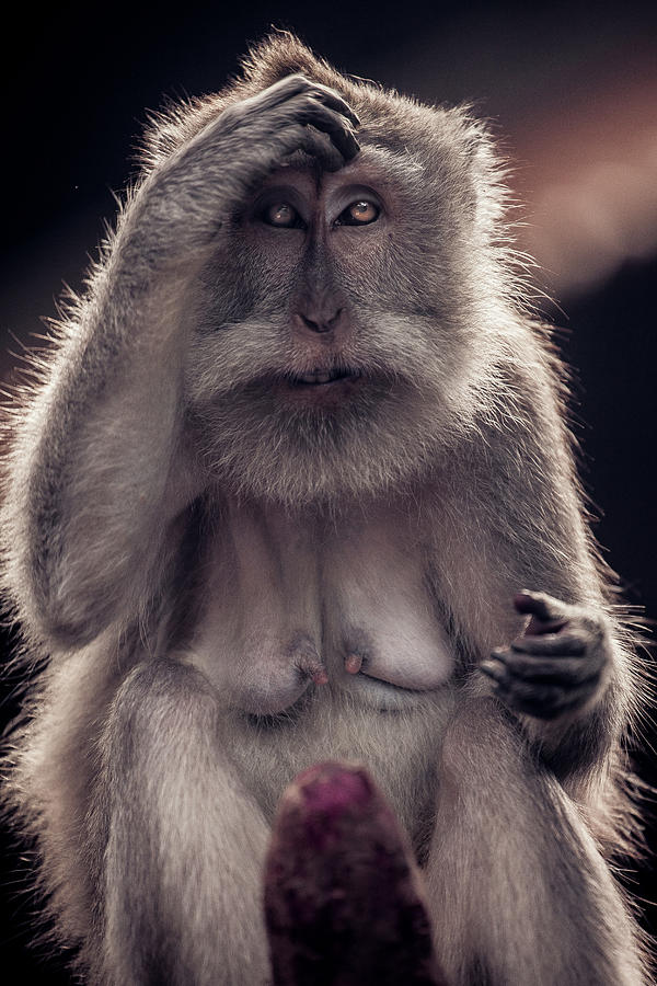 Uluwatu Photograph - The Thinker by Felipe Queriquelli Uluwatu Photograph - The Thinker by Felipe Queriquelli