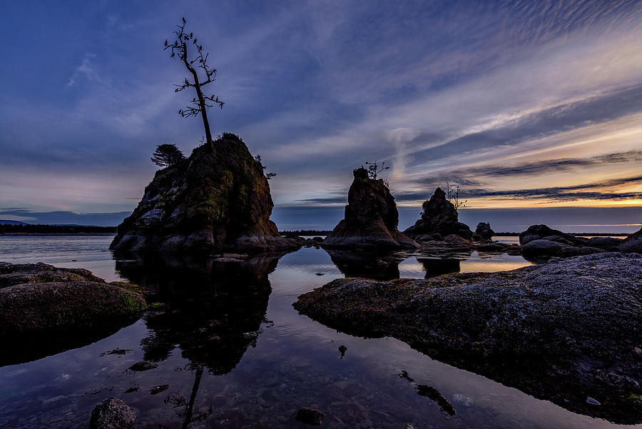 The Three Graces-April 2019 by Johanna Froese The Three Graces-April 2019 by Johanna Froese