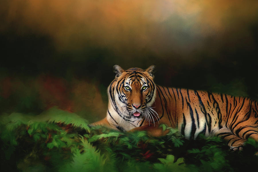The Tiger Rests Digital Art by Jerry Dalrymple The Tiger Rests Digital Art by Jerry Dalrymple