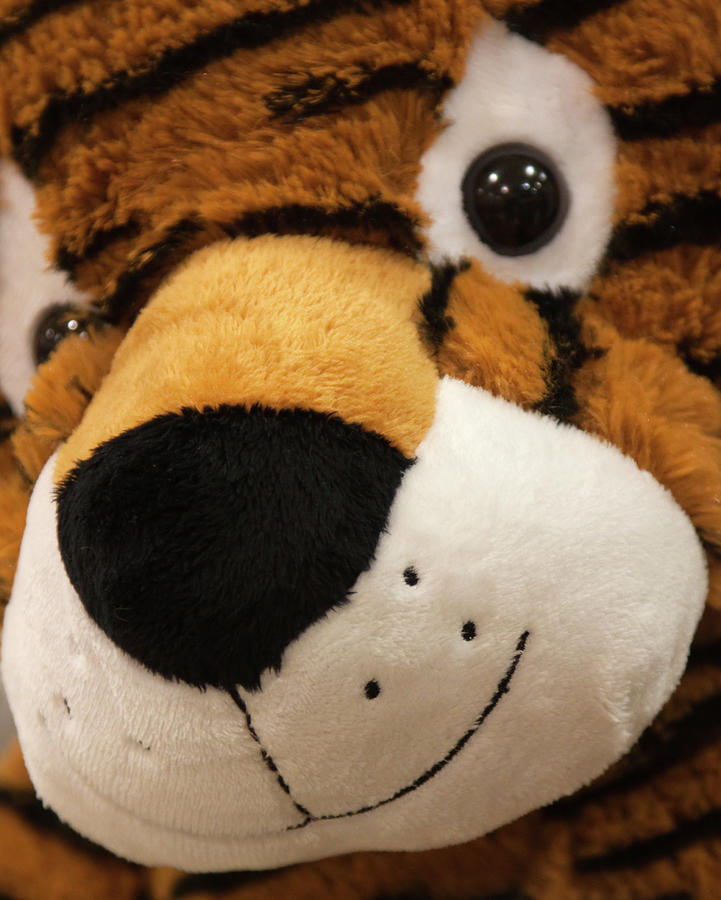 The Tiger Toy Photograph by Tatiana Travelways