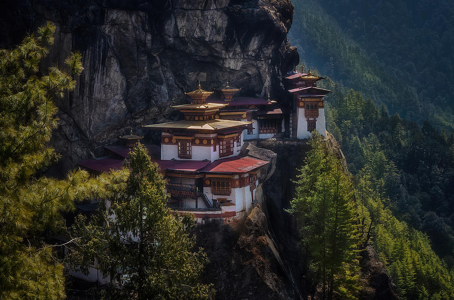 The Tigers Nest Photograph by Devan Nair
