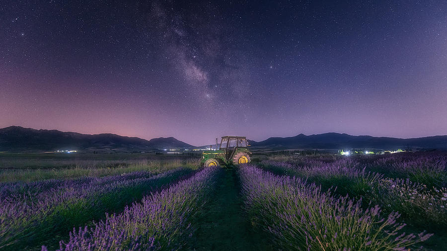 The Tractor And The Lavender Photograph by Jose Antonio Trivio Sanchez