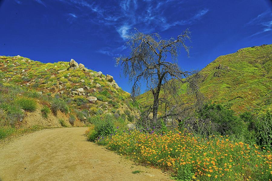 The Trail in Walker Canyon Photograph by Martin Rosario - Fine Art America