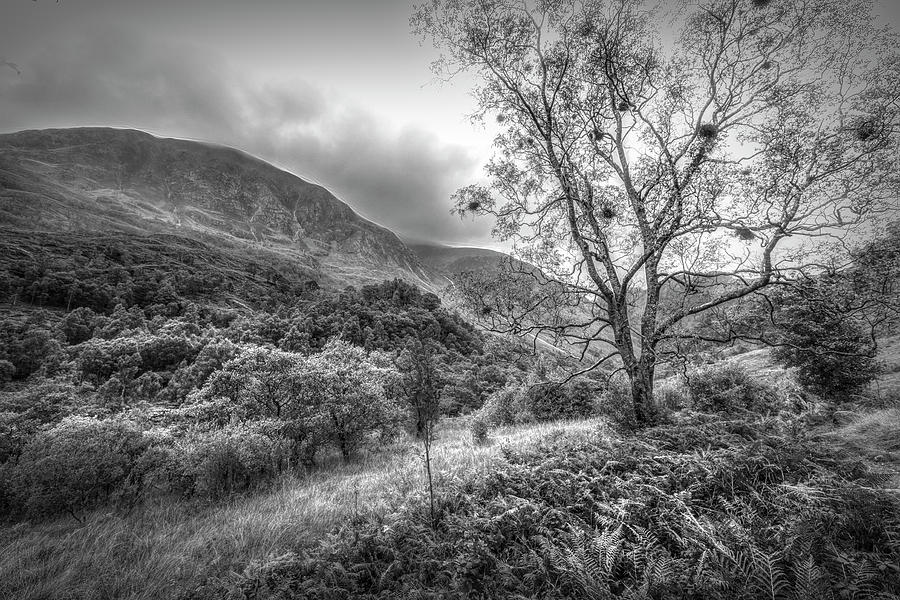The Trail to Ben Nevis in Black and White  Photograph by Debra and Dave Vanderlaan