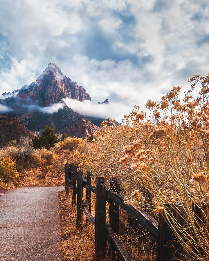 Zion National Park Photograph - The Trail To The Rock by Syed Iqbal