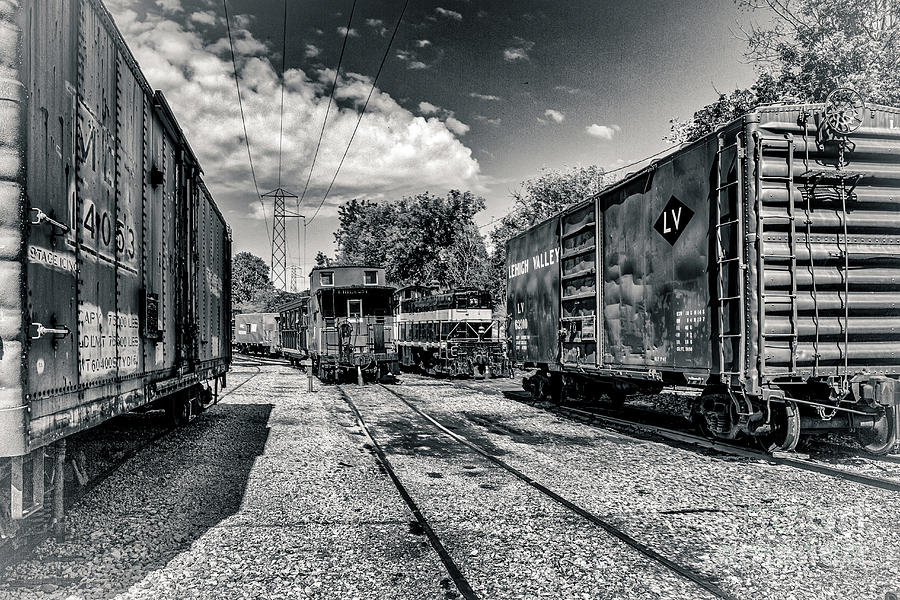 The Train Yard Photograph by William Norton