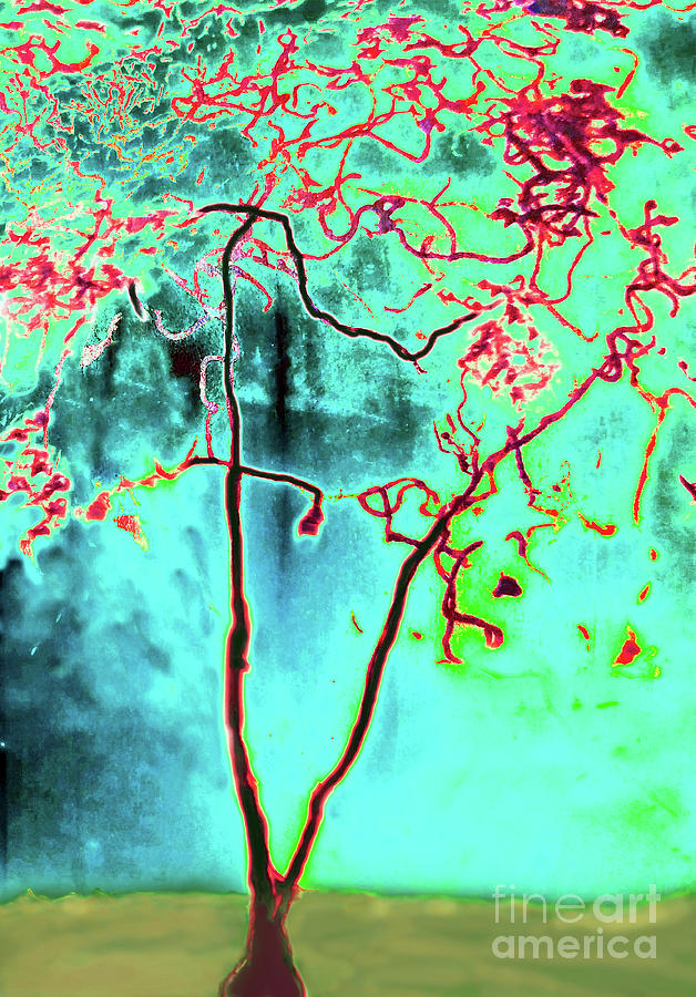 The Tree Abstract Emerging Spring 300 by Sharon Williams Eng The Tree Abstract Emerging Spring 300 by Sharon Williams Eng