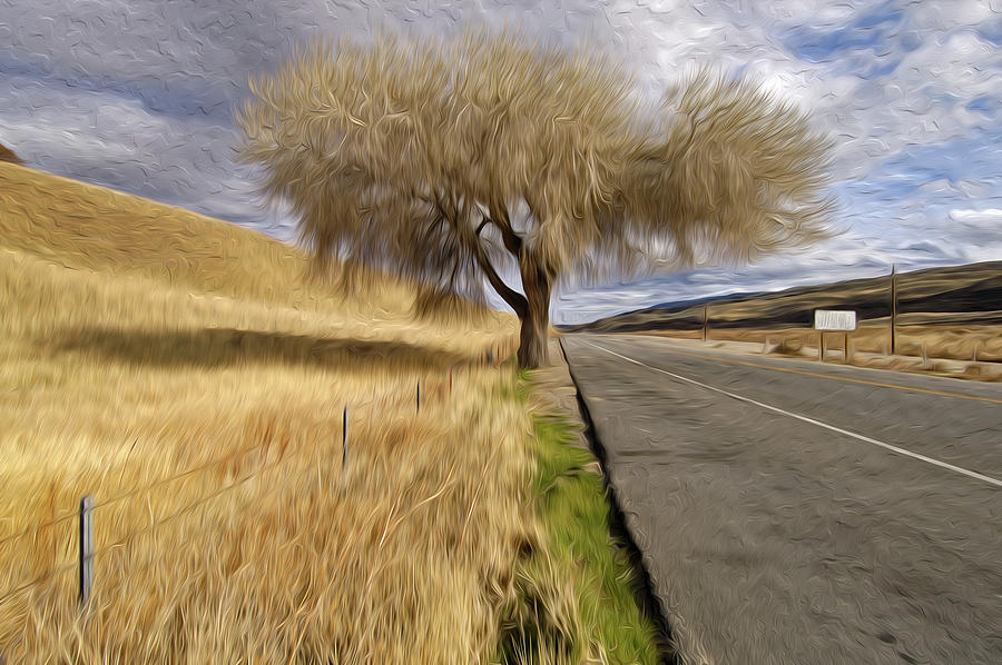 Winter Photograph - The Tree By The Road by Craig Brewer