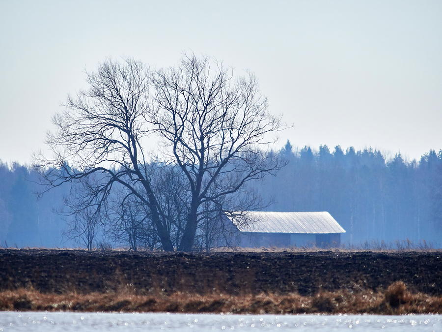 The tree the barn and the black field Photograph by Jouko Lehto