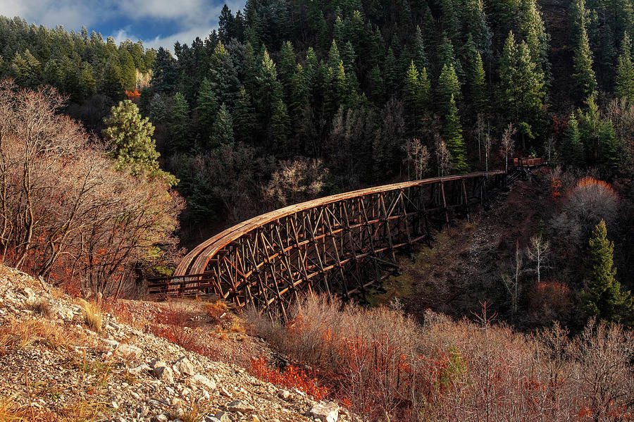 The Trestle  Photograph by Harriet Feagin