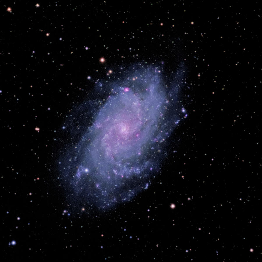 The Triangulum Galaxy Photograph by A. V. Ley
