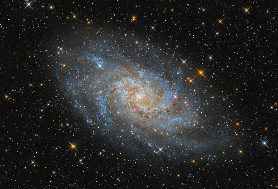 The Triangulum Galaxy - M33 Photograph by Michael Kalika
