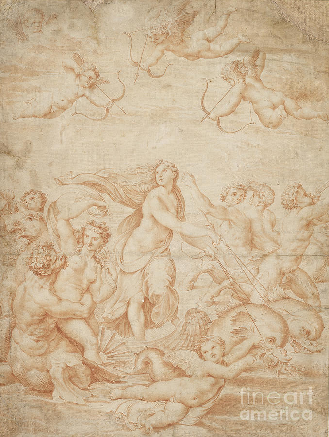 The Triumph Of Galatea, 16th Century Red Chalk By Raphael Painting by Raphael