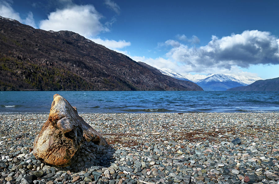 The trunk, the lake and the mountainous landscape by Eduardo Jose Accorinti The trunk, the lake and the mountainous landscape by Eduardo Jose Accorinti