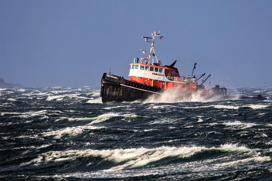 The tug that could Photograph by Michelle Pennell