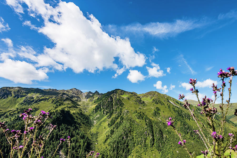 Summer Photograph - The Tux Alps In Summer With Sunshine, Zell Am Ziller, Zillertal, Tyrol, Austria by Helge Bias Summer Photograph - The Tux Alps In Summer With Sunshine, Zell Am Ziller, Zillertal, Tyrol, Austria by Helge Bias