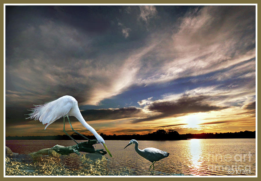 Birds Photograph - The Two of Us by Klaus Jaritz Birds Photograph - The Two of Us by Klaus Jaritz