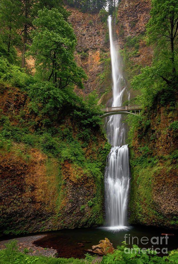 THE ULTNOMAH MULTNOMAH FALLS by Doug Sturgess THE ULTNOMAH MULTNOMAH FALLS by Doug Sturgess