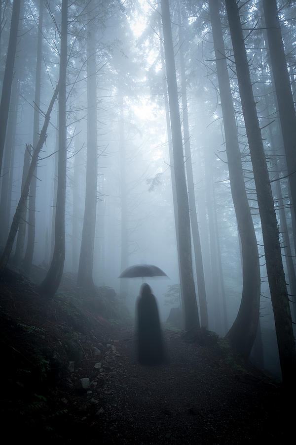 The Umbrella by Windy Corduroy The Umbrella by Windy Corduroy