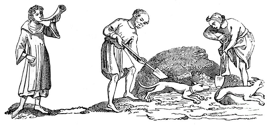 The Unearthing Of A Fox, 14th Century Drawing by Print Collector