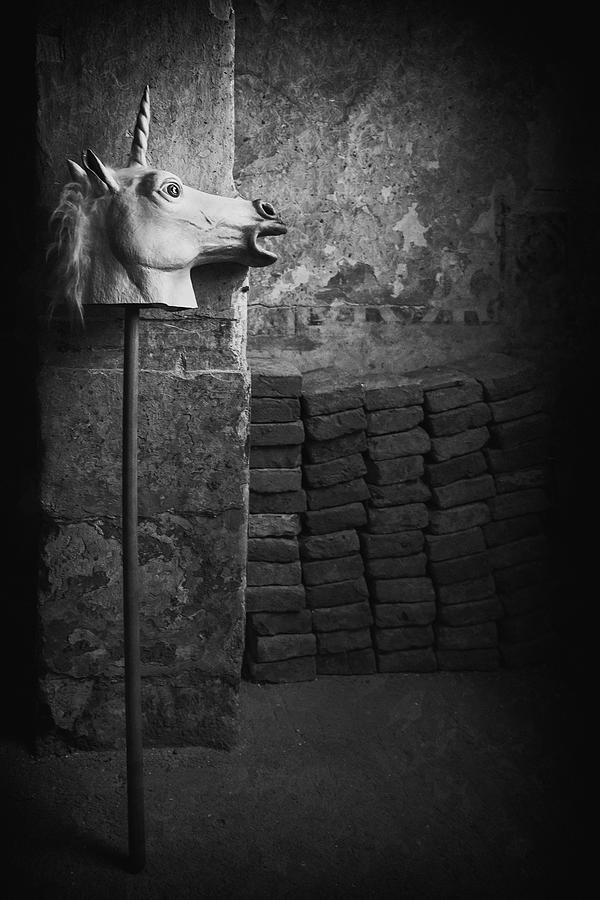 Unicorn Photograph - The Unicorn by Roswitha Schleicher-schwarz
