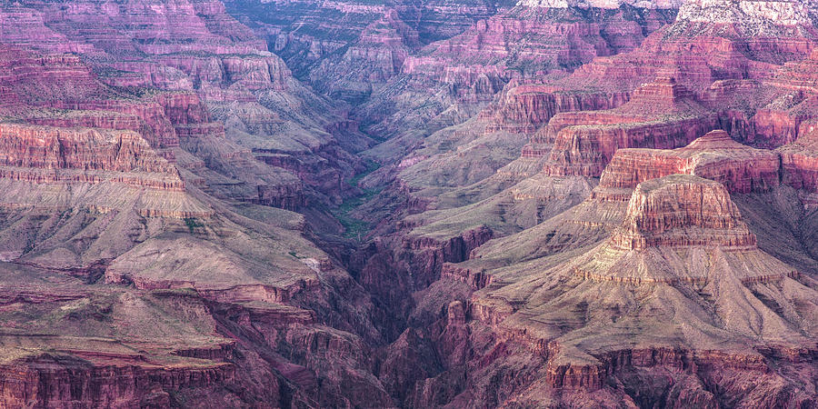 National Parks Photograph - The Valley of Grand Canyon National Park - Panoramic Landscape by Gregory Ballos