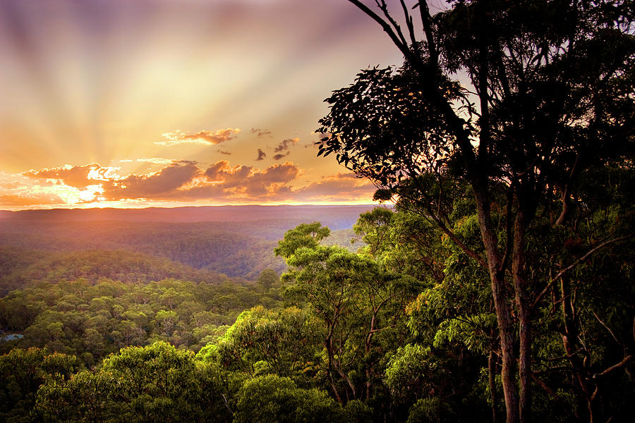 The Vast Blue Mountains Photograph by Edwin Emmerick Photography