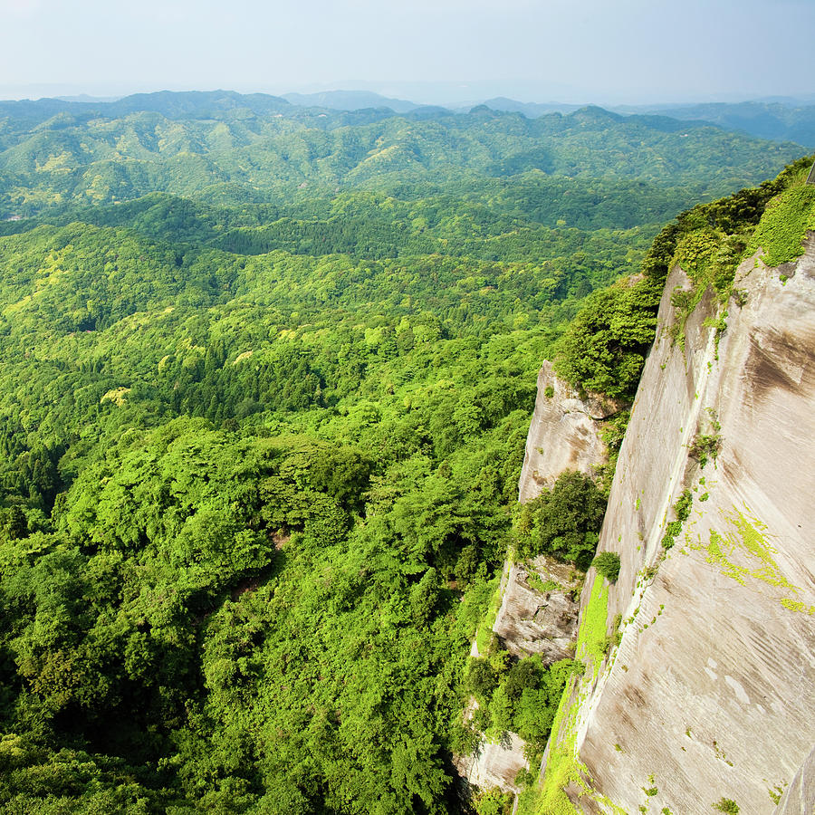 The Vast Lush Green Forest From The Photograph by Ippei Naoi